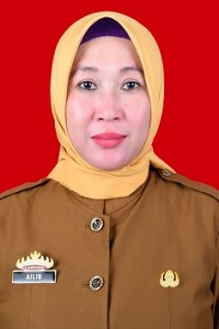 Ailis Setia, S.Kom